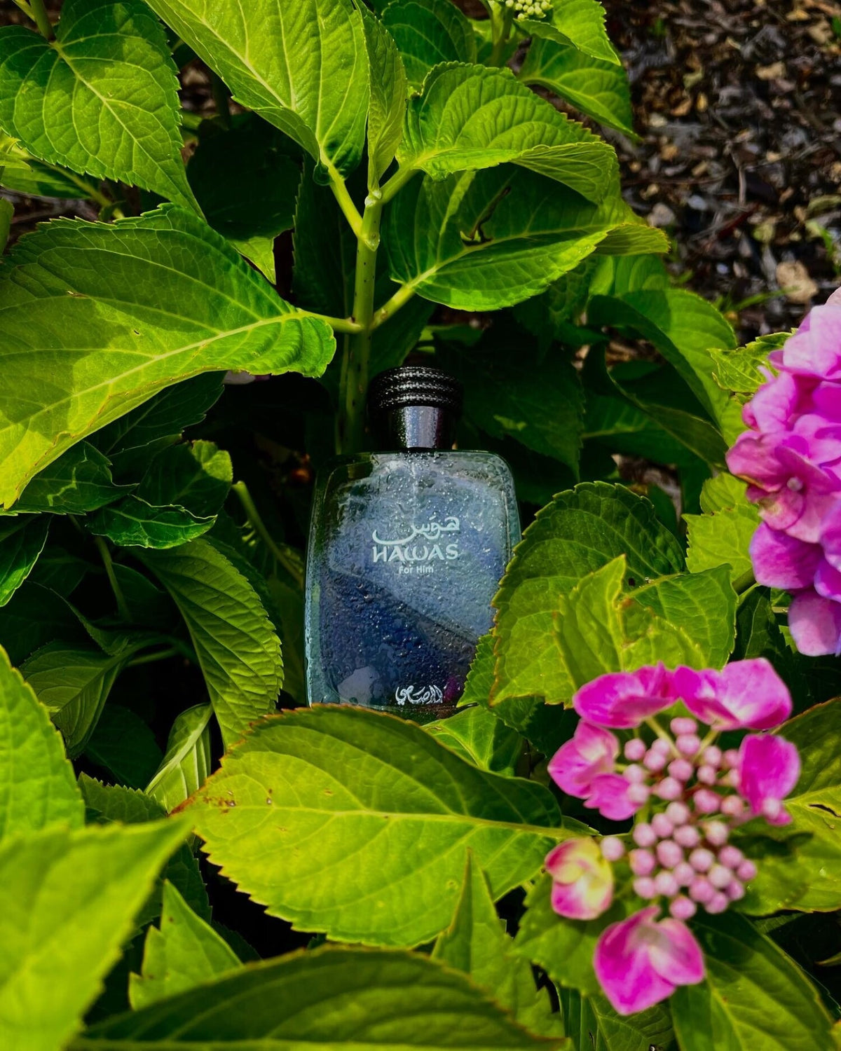 Rasasi Hawas 100ml Eau De Parfum